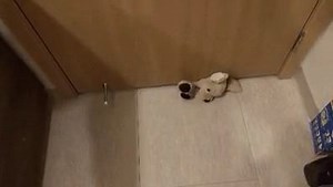 hahahahhah | Amazing pictures