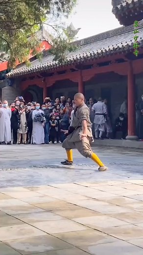 Shaolin Di Tang Quan demo at the Shaolin Temple in China. Do you like this form, and what are your thoughts? #Shaolin #DiTangQuan #MartialArts #ShaolinTemple #KungFu #TraditionalMartialArts #China #MartialArtsDemo | UK Shaolin