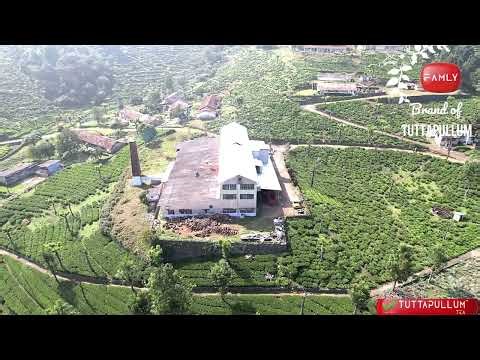 Tuttapullum Tea Estate & Factory - Legacy of tea excellence