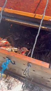 Join us this weekend at Festival Del Mar in Island Harbour, Anguilla, where we celebrate the bounty of the sea. 🌊 Experience the essence of our fishing village as we honour our connection to the ocean and its treasures. #FestivalDelMar #anguilla #whitesandbeach #sea #tranquility #beaches #quest #beachlovers #sand #whatwedoinanguilla #anguillamoment #anguillabeaches #questexperiences #onaquest #clearwaters #anguilla | What We Do In Anguilla