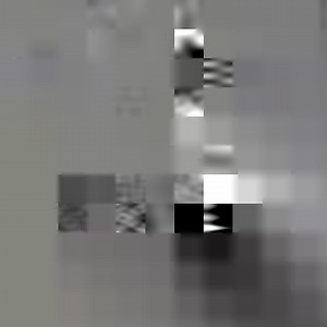 After 75 long days, this tiny penguin chick is getting his first glimpse of the world 🐧 #HostilePlanet | National Geographic Animals