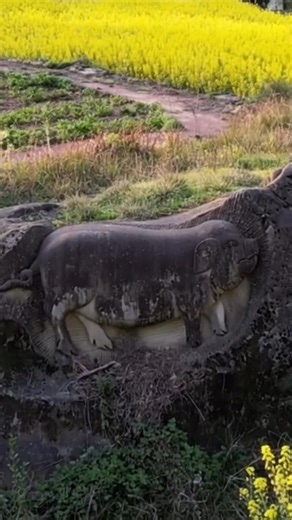 48K views · 181 reactions | Asya Bölgesinde Bulunan ve Koruma Altında Domuz Define İşareti Statüsü Yüksek Kral Kaya Mezarları #asya #bölgesi #domuz #define #işareti #statü #kral #kaya #mezarları Pig Treasure Sign Status High King Rock Tombs Located in the Asian Region and Under Protection #asia #region #pig #treasure #sign #status #king #rock #tombs | Defineye Giden Yol - The way to The Treasure | Facebook