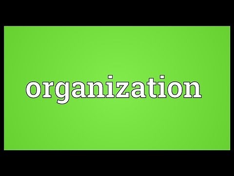 Organization Meaning