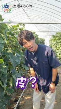 [Super Big Size✨] Hamachan live from Kanazawa City, Ishikawa Prefecture on June 13th!