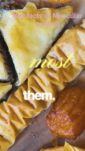 Facts related to muscular system #neet #facts#neetbiology #htet#ctet#ytshorts #kvs #nvs