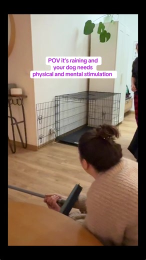 Indoor Obstacle Course for Rainy Days with Dogs