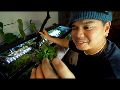 Fishy Farewells: Breaking Down my 75 Gallon Fish Tank | Episode 13