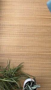 🌼 বসন্ত 🌼 Pure Bengal cotton dual tone Saree with embroidery silk blouse 🧿🌸 WhatsApp no - 9932700227 . . . . #dharaboutique #kolkata #instafollowers #saree #westbengal | Dhara Botique