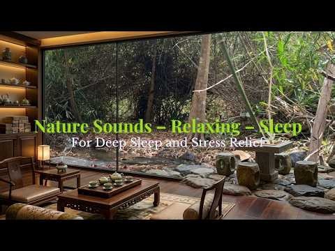 Birds Singing by a Rocky Stream | Real Nature Sounds from a Vietnamese Bamboo Forest