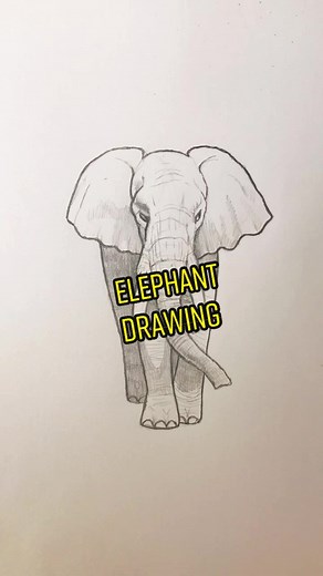 Drawing Tips: Start with Simple Shapes for an Elephant Drawing