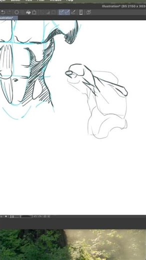 Bridgman Study Drawing the Pecs in Foreshortening