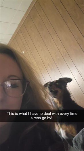 #dogsoftiktok #howling #sirens #fyp #tiktok