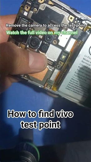 how to find vivo test point