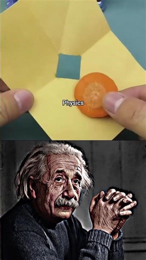 We Tested Physics Concepts With Giant Sumo Wrestlers