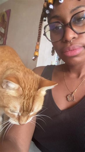 Mon meilleur opps .. Coup de queue normal Une vidéo normale avec lui c’est impossible #chatroux #cats #fyp #pourtoi