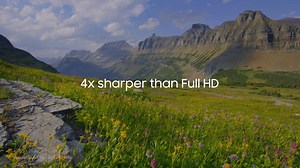 1.1K views · 16 reactions | Step up your family's home entertainment experience and enter a world of more color with Samsung 4K UHD Smart TVs! https://www.rcwilley.com/Electronics/TVs/4K-Ultra-HD/Search.jsp?m=SUG&a=A%20U%20O | RC Willey | Facebook