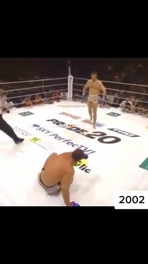 Cro Cop vs Wanderlei Silva 2002 #crocop #pridefc #mma #mirkocrocop #foryou #hrcš #kickbox #boxing #fyp #punch #kick #fighting #ufc #f