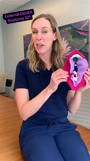 Holly Hoefgen, MD | Pediatric & Adolescent Gynecologist | Vagina vs Vulva … 🤷🏼‍♀️ what’s what? Let’s learn about external genital anatomy. #tiktoklearningcampaign #biology #genitalanatomy #vulva... | Instagram