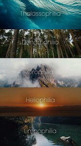 Rainforest Alliance on Instagram: "Experiencing symptoms of overwhelming joy in nature? You may be susceptible to the following: 🌊 Thalassophilia: love of the sea 🌳 Dendrophilia: love of trees or forests ⛰️ Orophilia: love of mountains 🌞 Heliophilia: love of the sun or sunlight 💧 Limnophilia: love of lakes or freshwater bodies Which -philia aligns with you the most? Personally, each one has a spot in our heart. 💚 #RainforestAlliance #Rainforests #Nature #Conservation #Sustainability #Thalas