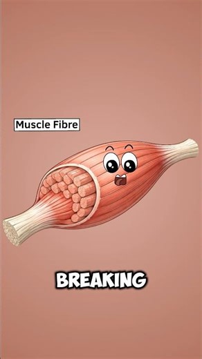 What Happens to Your Muscles When You Work Out #animation #funny