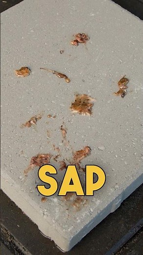 Removing Tree Sap from Concrete Using Acetone - Quick and Easy Method!