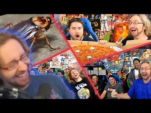 Dood Stream - 8 Year Streamiversary | Highlights & Compilations Recap