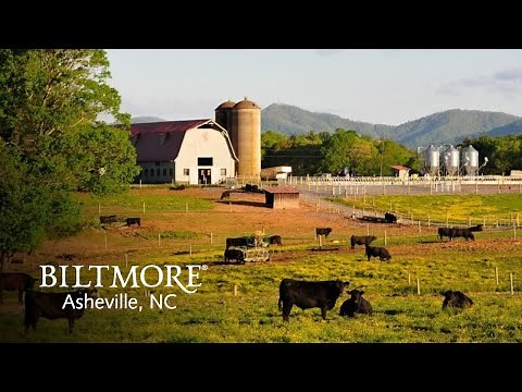 Virtual Tour: Biltmore's Farms & West Side Agriculture
