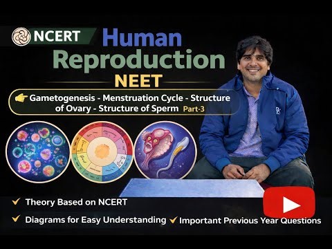 human reproduction part 3#mensuration #gametogenesis#overystructure#neet#ncert zoology
