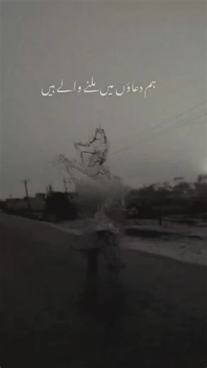 ‎🧝‍♀️ Տʜᴀɪᴋʜ ❤صاحب 👑‎ on Instagram: "Hum duaon me milne vale hain 💯@abdul__nasir78 🅾 .__....how to grow social media..... __. To grow Instagram followers, consistently post high-quality, value-driven Reels and Carousels using trending audio and relevant hashtags, optimize your profile with keywords, engage genuinely with your niche, and use location tags; collaborate with others and leverage video content (Reels) for wider reach, as video drives significant engagement. Focus on a specific ni