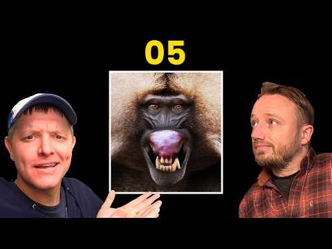 Flagella Evolution 05: Irreducible Complexity Exposed