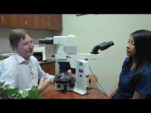 Hear From a Cytotechnology Student