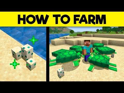 Ultimate Guide To TURTLES & How To Farm Them In Minecraft