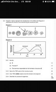 Diagram 1 below represent the development of the follicle and D... | Filo