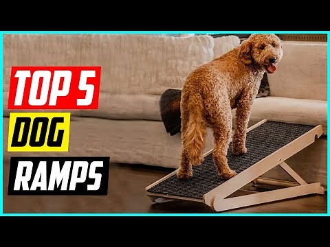 Top 5 Best Dog Ramps