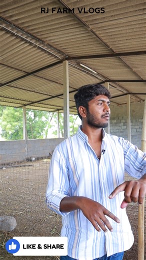 7.5K views · 154 reactions | Sheep Shed Construction Details #farming #agriculture #sheeps #shed #construction | Rjfarms | Facebook