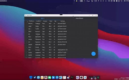 WPF DataGrid列头筛选、全局搜索、排序功能、分页功能