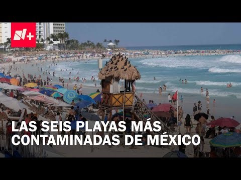 Estas son las seis playas más sucias de México, según la Cofepris - En Punto
