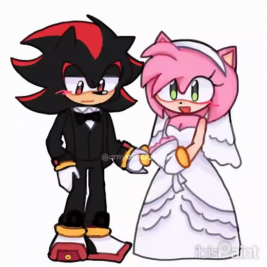 Shadamy Wedding Edit: Sonic the Hedgehog Fan Art