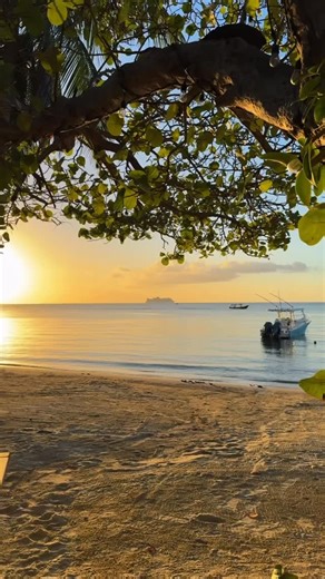 Sunset hour at Sea Salt Residences 🌅 West Bay’s newest beachfront community is redefining coastal life with beachfront 2-bedroom residences, resort-style amenities, and Sea Salt Restaurant just steps away. Walk to the beach, enjoy effortless island dining, and end every day with a front-row seat to the sunset. This is more than a place to live — it’s a lifestyle designed around the rhythm of the sea. Discover Sea Salt Residences. Learn more via the link below! https://roatanrealtysolutions.com/