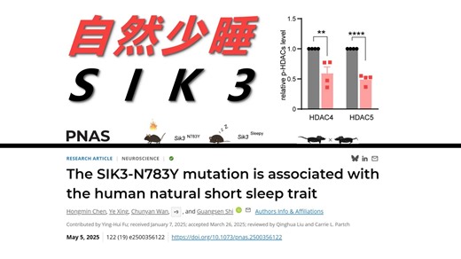 【新知103】没时间打工？改变SIK3或可解决你的烦恼~实现少睡多干不是梦~