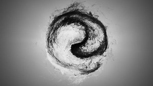 Download Yin Yang Logo Reveal - FREE Videohive - aedownload.com