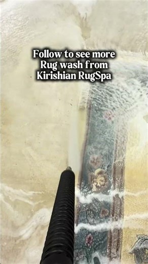 Deep Cleaning a Rug Full of Pet Urine (Satisfying)