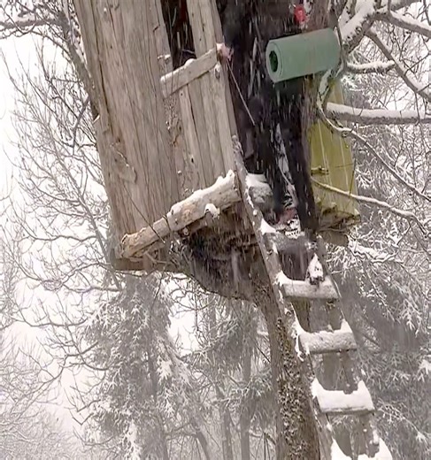 During a snowstorm, hiding in a tree house is a way to avoid getting caught in a blizzard. | Steven Kimberly