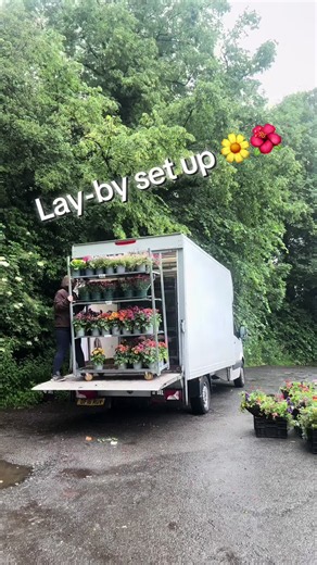Chorley lay-by plant stand and bedding setup