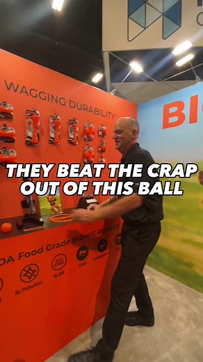 I’ve never seen a toy get so beat up & still make it out alive 😂 I’m curious to know if any super chewer pups out there have use these Bionic balls? #superzoo #superzoo2023 #bionicdogtoys #dogs #dogstuff #dogtoys #superchewer #dogtok #dogsoftiktok #dogstuff #amazonfinds #amazondogfinds