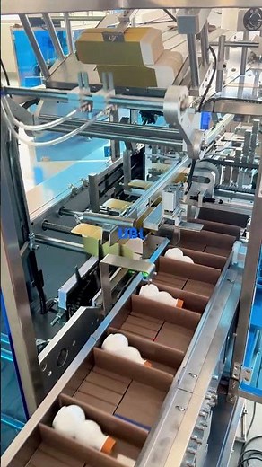 Fully Automatic Cartoning Machine: Efficient Packaging Solutions