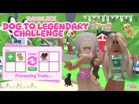 doing dog to legendary challenge ( LOSER HAS TO GIVE WINNER A PET!)