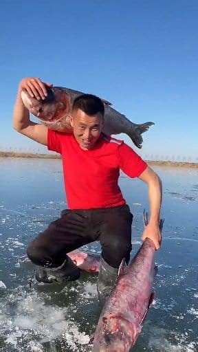 4K views · 13 reactions | Fishing business  #fishing #S3 | Scratch 3 Entertainment | Facebook