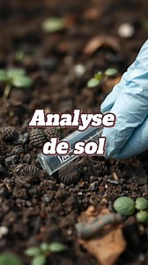 Faire une analyse de sol avant de commencer ton potager, c’est un peu comme vérifier la météo avant de sortir en randonnée : ça te prépare à affronter les bons et moins bons aspects du terrain ! En analysant ton sol, tu sauras exactement ce dont il a besoin – ou pas – pour bien nourrir tes plantes. Chaque type de sol a ses particularités, qu'il soit sableux, argileux ou limoneux, et ses besoins en nutriments varient. Cette petite étude te permet de doser correctement les apports d’engrais, de co