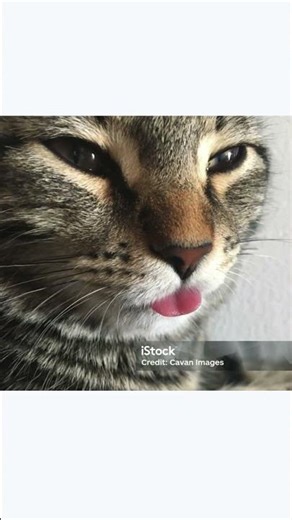 Think fast chucklenuts💀🥀🔥